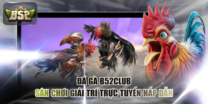 Đá Gà B52CLUB - Sân Chơi Giải Trí Trực Tuyến Hấp Dẫn