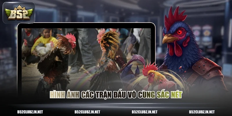 Hình ảnh các trận đấu vô cùng sắc nét